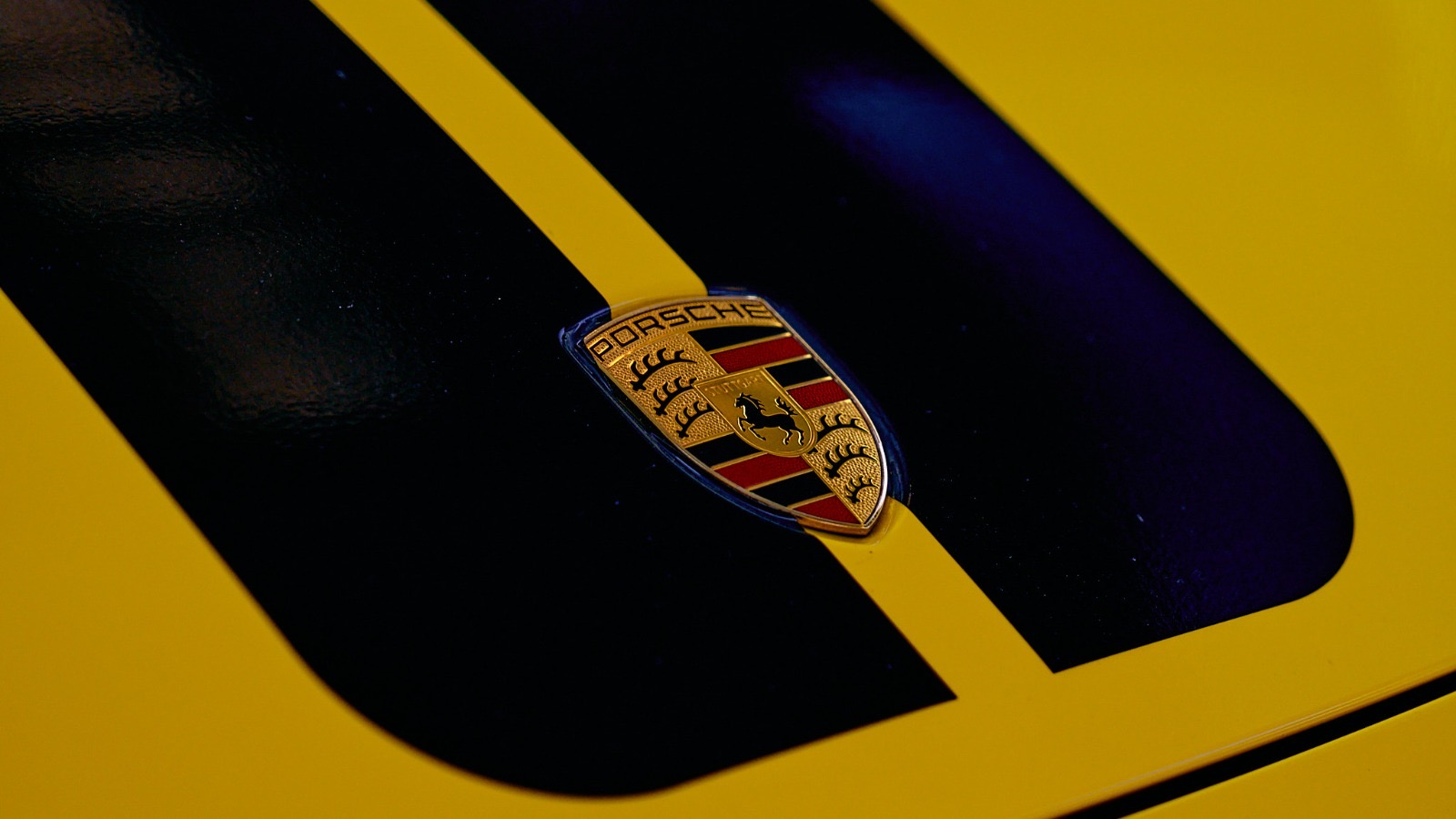 49867709-50cc-425c-99c7-fdba3fe922e1